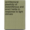 Architectural plasticity of stoloniferous and erect herbs in response to light climate door H. Huber