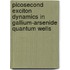 Picosecond exciton dynamics in gallium-arsenide quantum wells