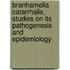 Branhamella catarrhalis, studies on its pathogenesis and epidemiology