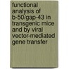 Functional analysis of B-50/GAP-43 in transgenic mice and by viral vector-mediated gene transfer door A.J.G.D. Holtmaat