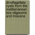 Dinoflagellate cysts from the Metiterranean Late Oligocene and Miocene