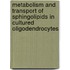 Metabolism and transport of sphingolipids in cultured oligodendrocytes
