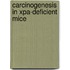 Carcinogenesis in xPA-deficient mice