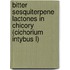 Bitter sesquiterpene lactones in chicory (Cichorium intybus L)