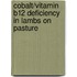 Cobalt/vitamin B12 deficiency in lambs on pasture
