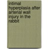 Intimal hyperplasia after arterial wall injury in the rabbit by F.N.G. Doornekamp