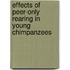 Effects of peer-only rearing in young chimpanzees