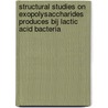 Structural studies on exopolysaccharides produces bij lactic acid bacteria door G.W. Robijn