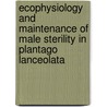 Ecophysiology and maintenance of male sterility in Plantago lanceolata door P. Poot