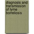 Diagnosis and transmission of lyme borreliosis