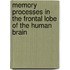 Memory processes in the frontal lobe of the human brain