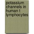 Potassium channels in human T lymphocytes