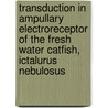 Transduction in ampullary electroreceptor of the fresh water catfish, Ictalurus nebulosus door P.S. Heijmen