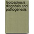 Leptospirosis diagnosis and pathogenesis