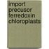 Import precusor ferredoxin chloroplasts