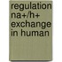 Regulation na+/h+ exchange in human