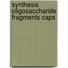 Synthesis oligosaccharide fragments caps by Koeman