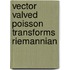Vector valved poisson transforms riemannian