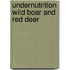Undernutrition wild boar and red deer