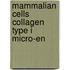 Mammalian cells collagen type i micro-en