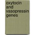 Oxytocin and vasopressin genes