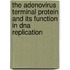 The adenovirus terminal protein and its function in DNA replication