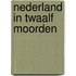 Nederland in twaalf moorden