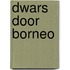 Dwars door Borneo