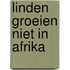 Linden groeien niet in Afrika