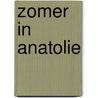 Zomer in Anatolie by G. van Camp
