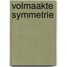 Volmaakte symmetrie by Heinz R. Pagels