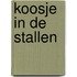 Koosje in de stallen