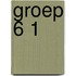 Groep 6 1