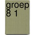 Groep 8 1