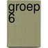 Groep 6