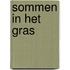 Sommen in het gras