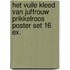 Het vuile kleed van juffrouw Prikkelroos poster set 16 ex.