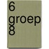 6 groep 8