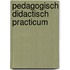 Pedagogisch didactisch practicum