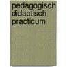 Pedagogisch didactisch practicum by Voskamp