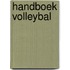 Handboek volleybal