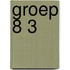 Groep 8 3