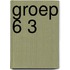 Groep 6 3