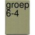 Groep 6-4