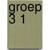 Groep 3 1