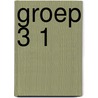 Groep 3 1 door M. Alkema