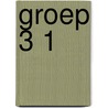 Groep 3 1 by M. Alkema