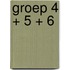 Groep 4 + 5 + 6