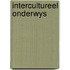 Intercultureel onderwys