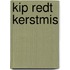 Kip redt kerstmis